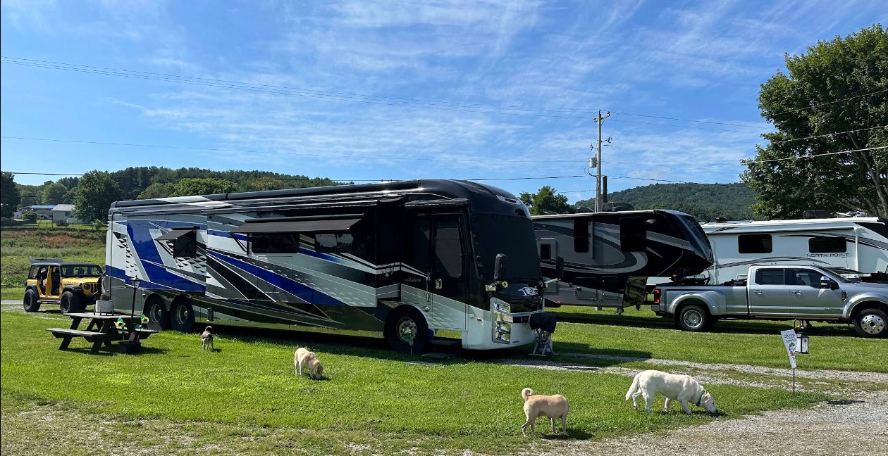 A large motorhome and several trailers are parked on grass; three dogs roam nearby, and a picnic table sits to the left under a partly cloudy sky.